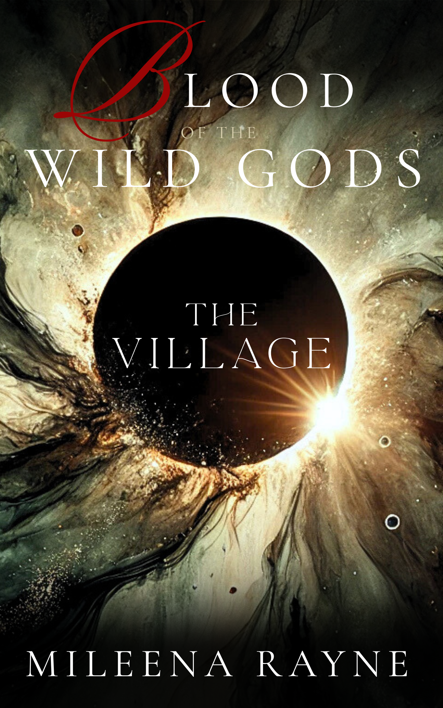 The Village book cover